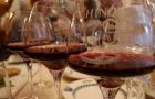 Que faire autour du Jardin des Oiseaux à Coteaux-sur-Loire : les vignobles de Chinon