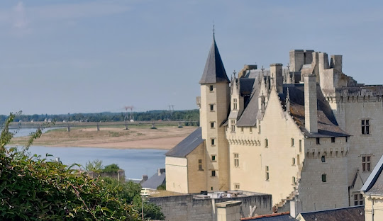 Que faire autour du Jardin des Oiseaux à Coteaux-sur-Loire : Montsoreau